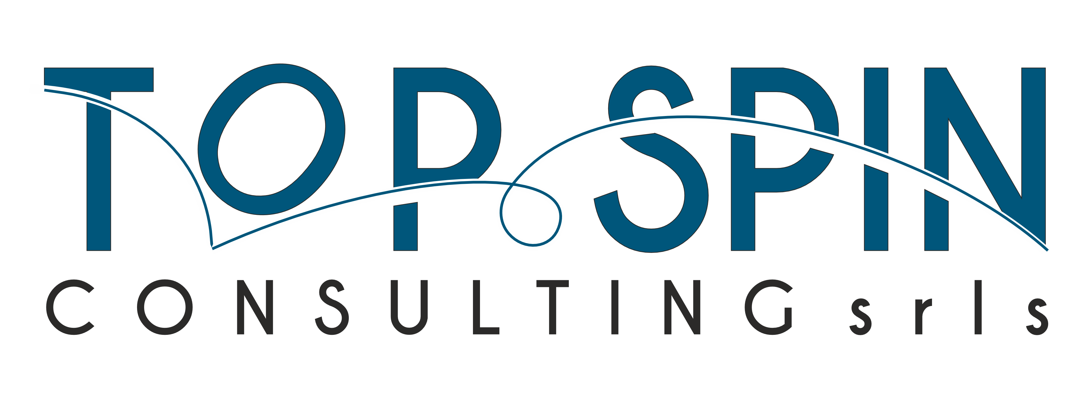 Top Spin Consulting